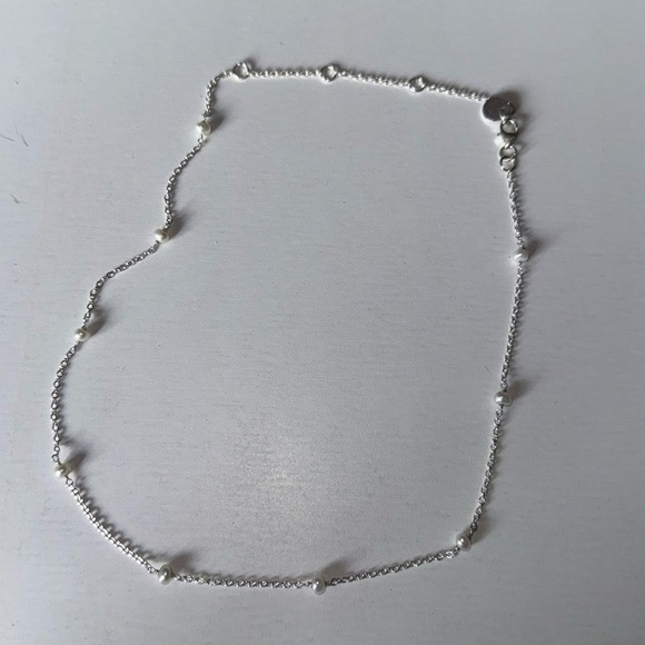 PURA VIDA Jewelry - PURA VIDA SILVER TONE NECKLACE